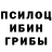 Галлюциногенные грибы Psilocybine cubensis Margaret Kunik