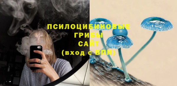 крисы Белокуриха