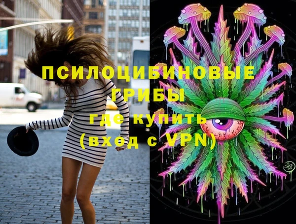 крисы Белокуриха