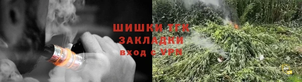 крисы Белокуриха