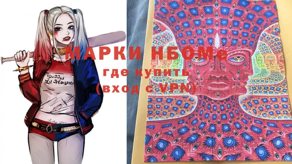 крисы Белокуриха